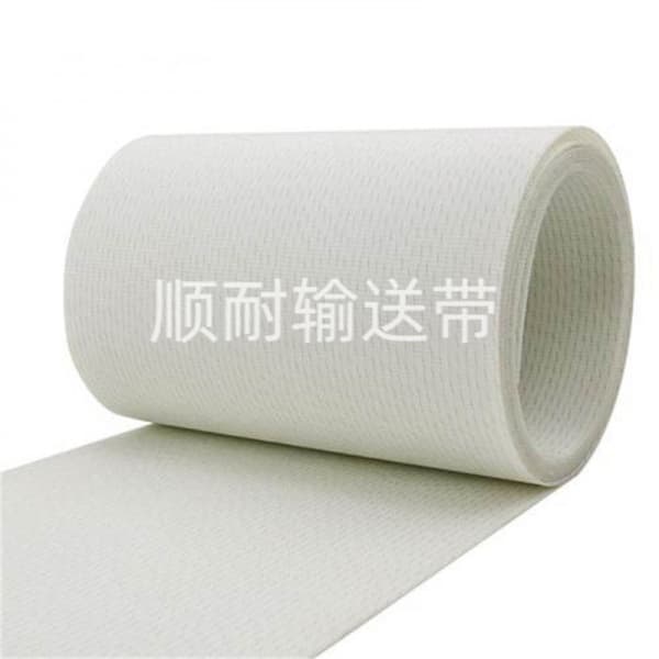 PE安全无毒食品级|顺耐输送带烟草行业定制款