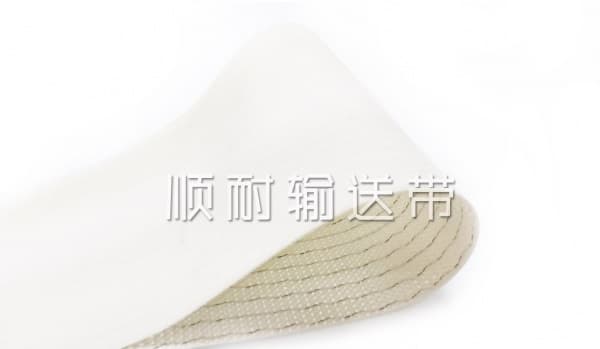 腐竹专用输送带|顺耐输送带食品行业定制款